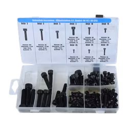 Insexskruvar, METRISKA 8.8 OBEH,106 delar