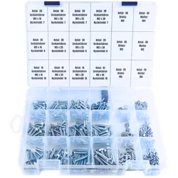 Sortiment Sexkantskruv 8.8 FZB M4-M6 400 Delar