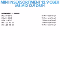Mini Insexsortiment M5-M12 12.9 OBEH
