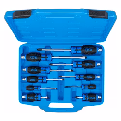 Skruvmejselsats 10 delar