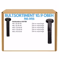 Mini Bultsortiment M6-M16 10.9 OBEH