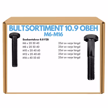 Mini Bultsortiment M6-M16 10.9 OBEH