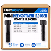 Mini Insexsortiment M5-M12 12.9 OBEH