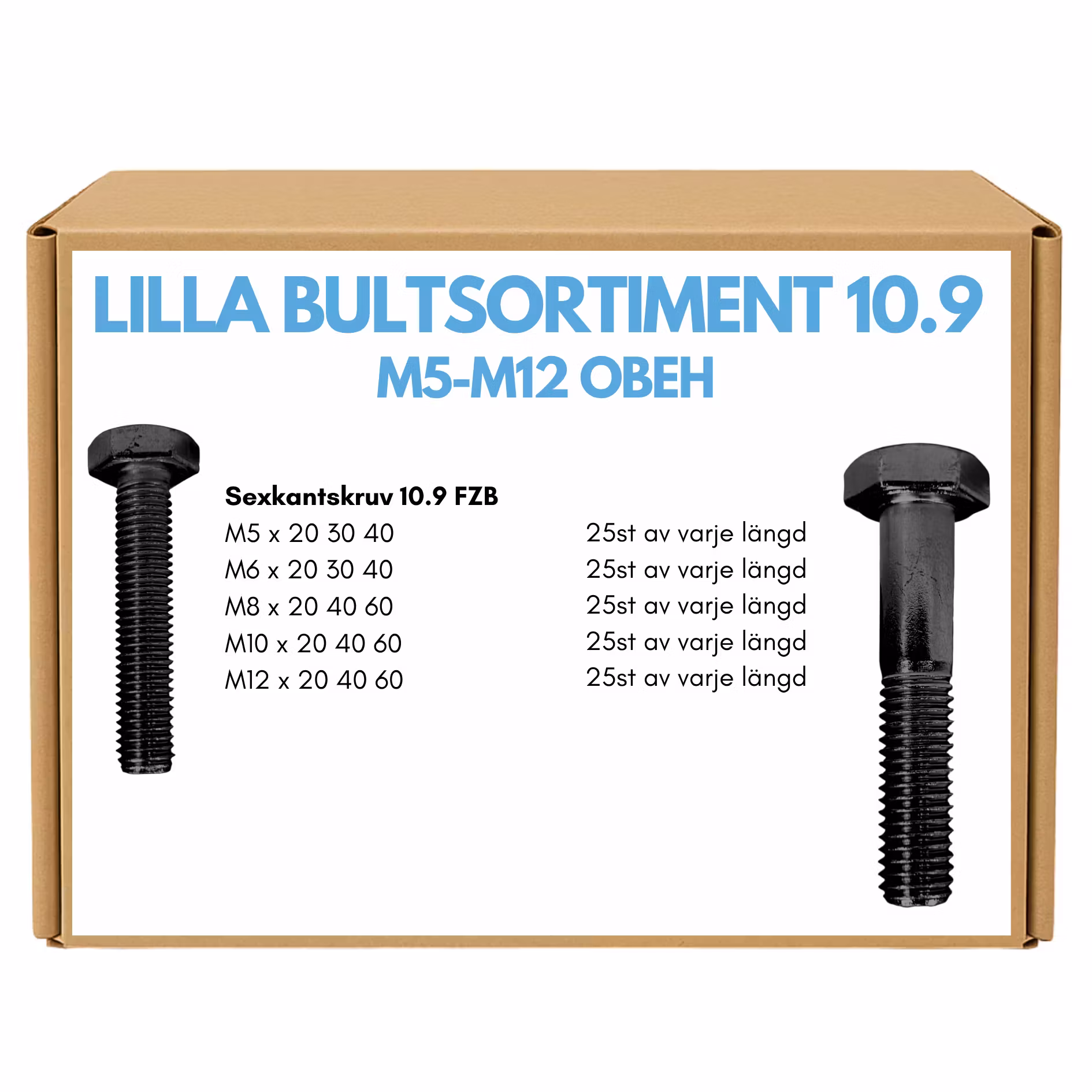 Lilla Bultsortiment M5-M12 10.9 OBEH