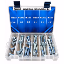 Sortiment Vagnsbult 4.8 FZB M12 27 Delar