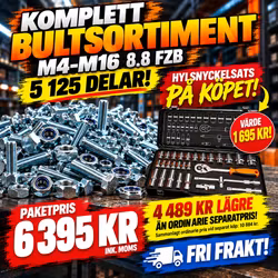 Komplett bultsortiment M4–M16 8.8 FZB – 5 125 delar + Hylsnyckelsats på köpet!
