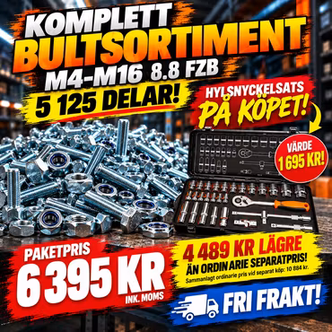Komplett bultsortiment M4–M16 8.8 FZB – 5 125 delar + Hylsnyckelsats på köpet!