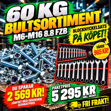 Mellan bultsortiment M6–M16 8.8 FZB 60KG + Blocknyckelsats 25 delar på köpet!