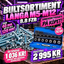 Small bolt assortment Long M5-M12 8.8 FZB