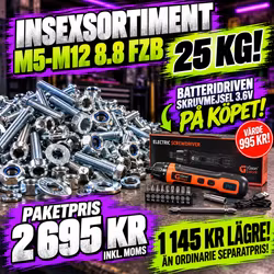 Insexsortiment M5–M12 8.8 FZB 25 KG + Batteridriven Skruvmejsel 3,6V på köpet!