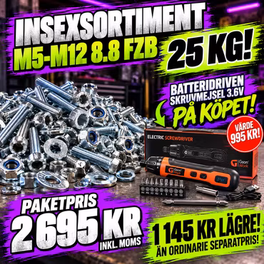 Insexsortiment M5–M12 8.8 FZB 25 KG + Batteridriven Skruvmejsel 3,6V på köpet!