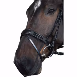 Horse Guard Mulskydd Nät Svart