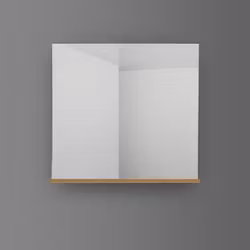 Spegel 4AQUA Med Hylla 80