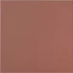Klinker Mono Color Cotto 20x20, RAL 8004