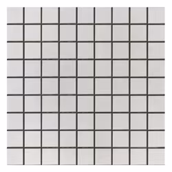Mosaik Micron 2.0 White Polerad 5X5