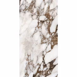 Klinker Bijoux Breche Capraia 120x240 Polerad