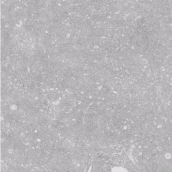 Klinker Norlith Drift Grey 30x30