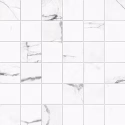 THE ROOM STATUARIO VP MATT 5X5 MOSAIK