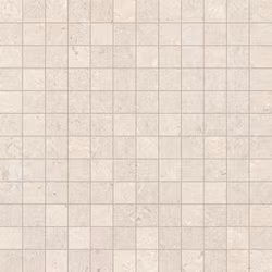 Mosaik Carácter Blanco 5X5