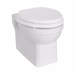 Toalett Burlington Vägghängd