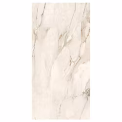 THE ROOM CREMO DELICATO POLERAD 60X120
