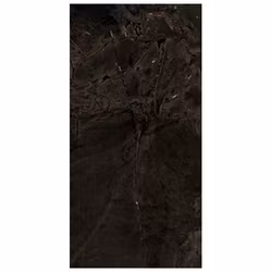 THE ROOM INFINITY BRAZIL 60X120 POLERAD