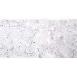 Marmor Bianco Carrara C Honed 30,5X61