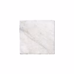Marmor Bianco Carrara C Polerad 10x10