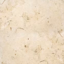 Kalksten Jura Gul Polerad 60x60