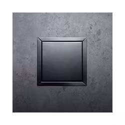 Inspektionslucka Black Tebo