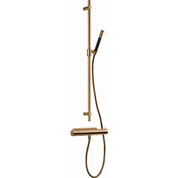 Duschset Tapwell Evo EVM168 + ZSAL300 160 CC Mässing
