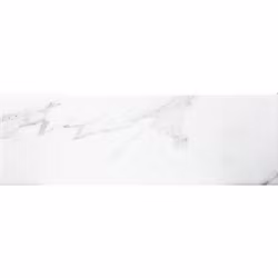 CARRARA GLOSS 10x30