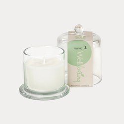 Doftljus Möve Wellbeing Botanical Extracts