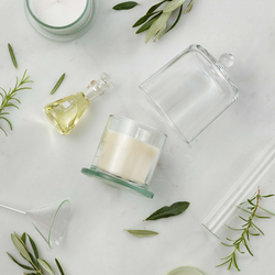 Doftljus Möve Wellbeing Botanical Extracts