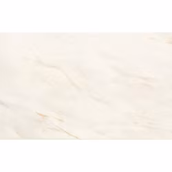 Kakel Marble White Gloss 25x40