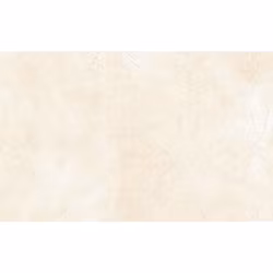 Kakel Genova Creme Gloss 25x40
