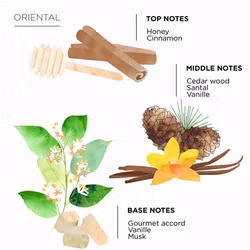 Côté Bougie Home Fragrance Spray 100ml Oriental