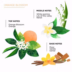 Côté Bougie Home Fragrance Spray 100ml Fleur D Oranger