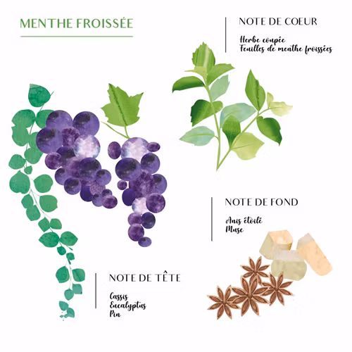 Côté Bougie Diffuseur A Batonnet 200ml Menthe & The