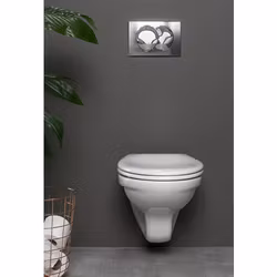 Vägghängd Toalettstol Alterna Basic II