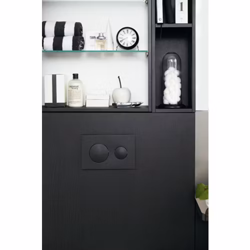 Spolknapp Svedbergs WC