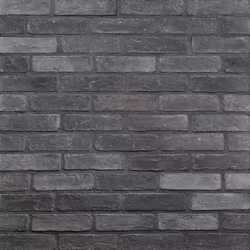 Fasadtegel Black 5.5X21 cm