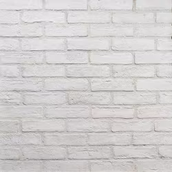Fasadtegel White 5.5X21 cm