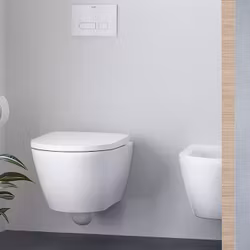 Vägghängd Toalett Duravit D-Neo Rimless