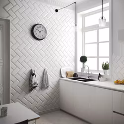 Kakel Arkitekt Fasad Vit Blank 9,8x19,8