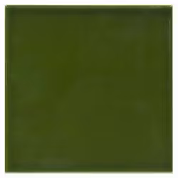 Kakel Capture Green Gloss 15x15