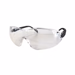 Skyddsglasögon Gson Cobra Clear