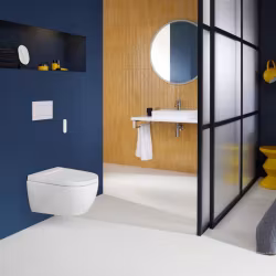 Duschtoalett Geberit Aquaclean Alba