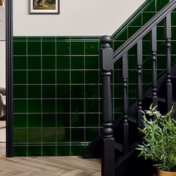 Bård Capture Green Gloss 5x15