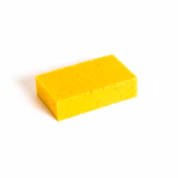 Allsvamp